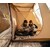 Палатка Naturehike Cloud wild car, 2-местная, алюминиевый каркас, песочная