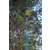 LED панель 12V NN-LP800, 800Вт