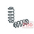 Пружины РИФ задние Nissan X-Trail T31 лифт 30 мм 0-50 кг